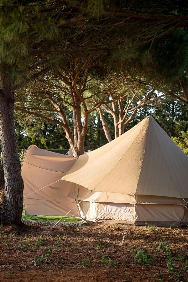 Hotel Glamping La Mimosa Conil à Conil De La Frontera Extérieur photo